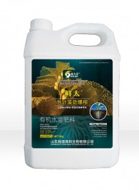 泡葉藻勁爆根