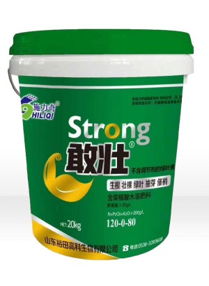 敢壯