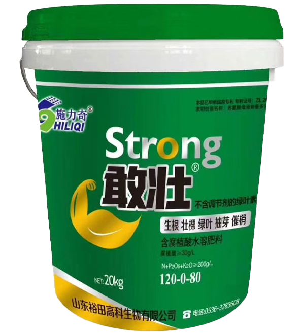 敢壯