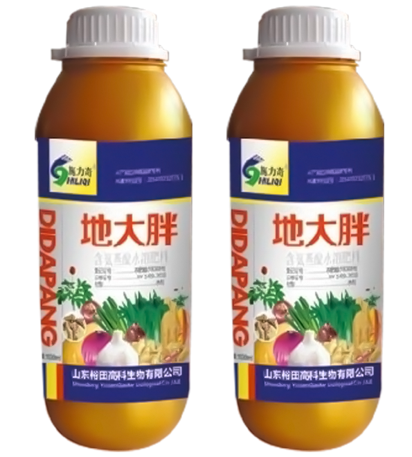 地大胖